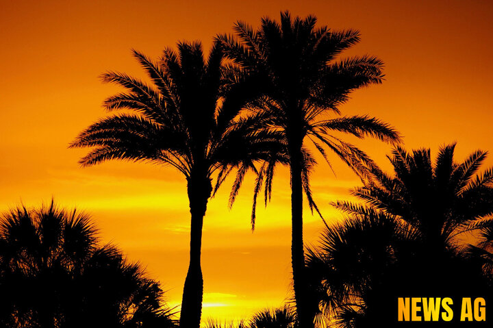 Discover The Lakehouse: Orlando's New Dining Gem on Disney's Doorstep!