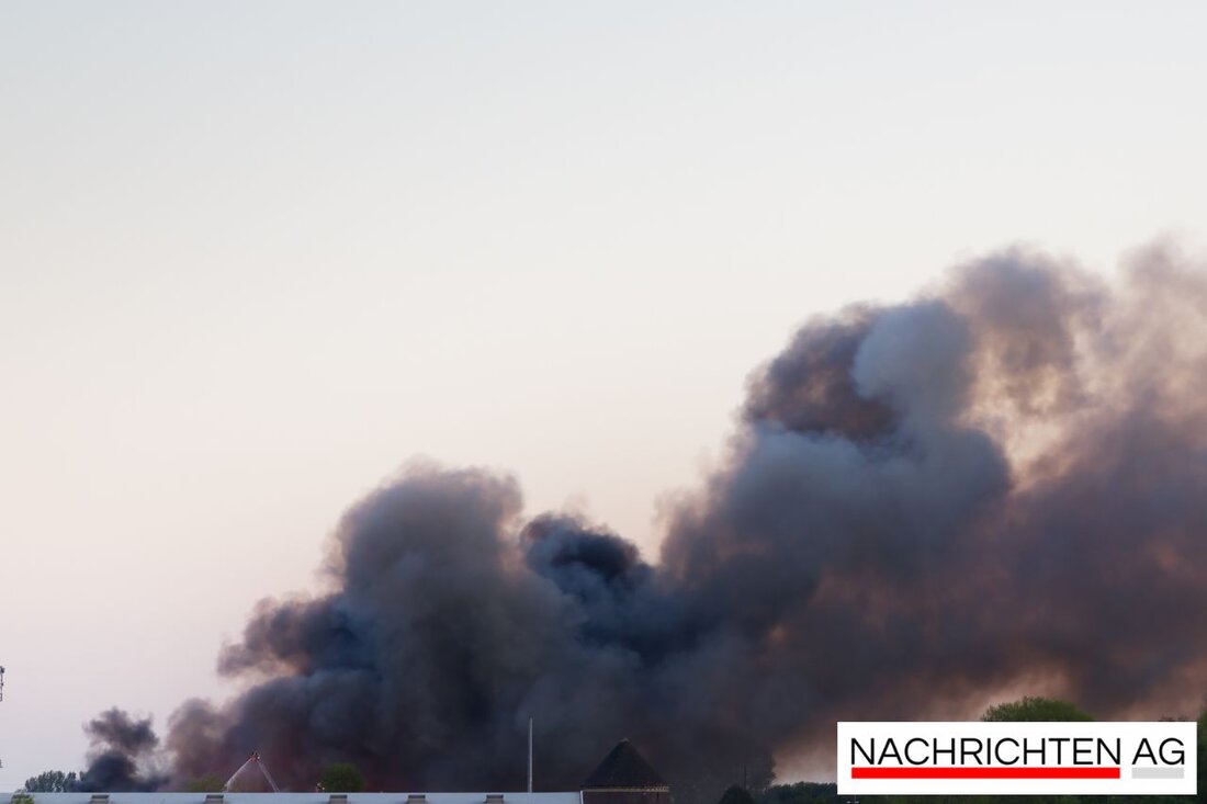 A fire in Altamonte Springs on June 8, 2025, tragically killed nine dogs in a kennel due to an electrical malfunction.