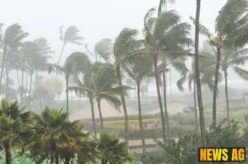 Community Unites to Aid Jamaica in Wake of Hurricane Melissa's Devastation