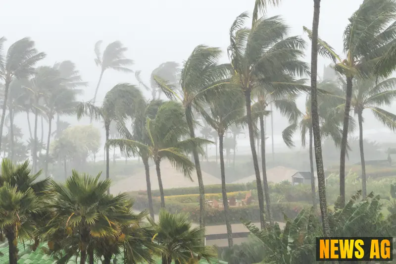 Florida Strawberry Season Begins: Farmers Rise Above Hurricane Challenges!