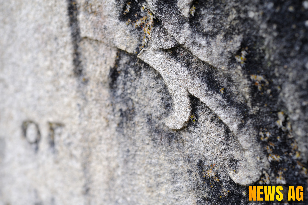 Remembering Rosa Williams and Roberta Lopez: Icons of Civil Rights in Archer